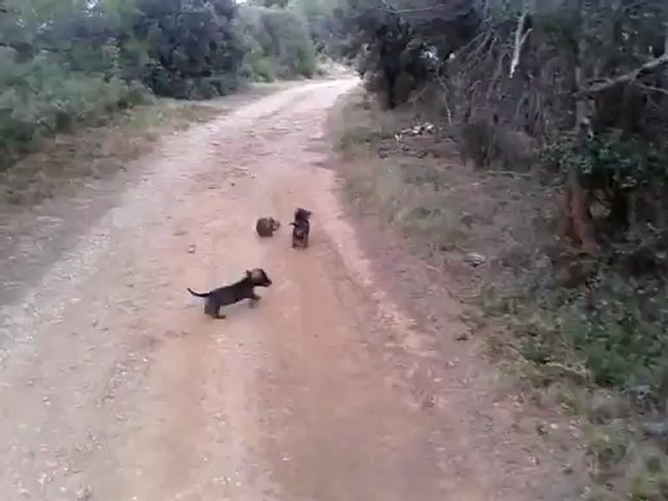 video-2012-09-18-18-06-33