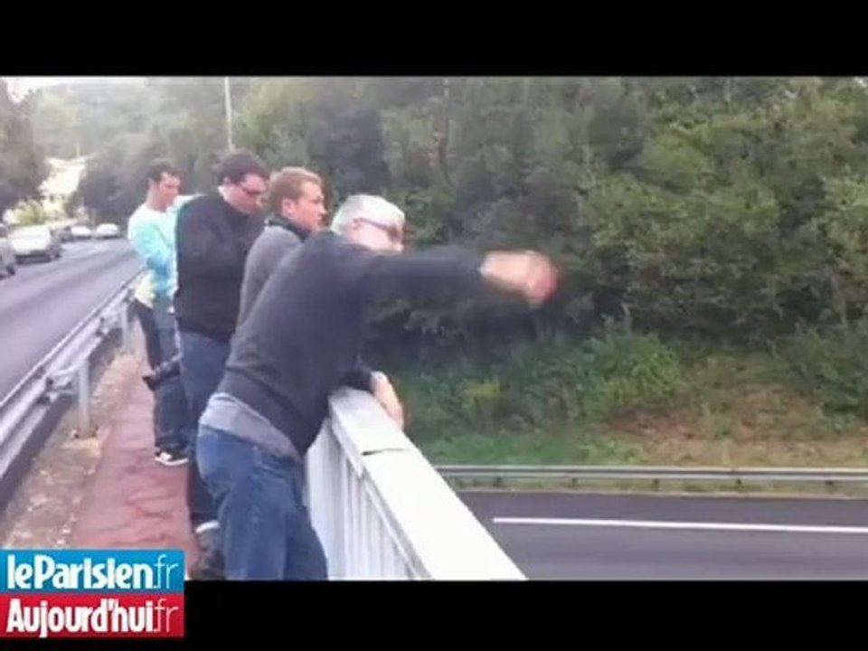 Limoges : une vache bloque l'autoroute A20