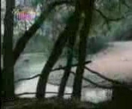 ferdi tayfur sanma sana donerim neselibugün neşelibugun