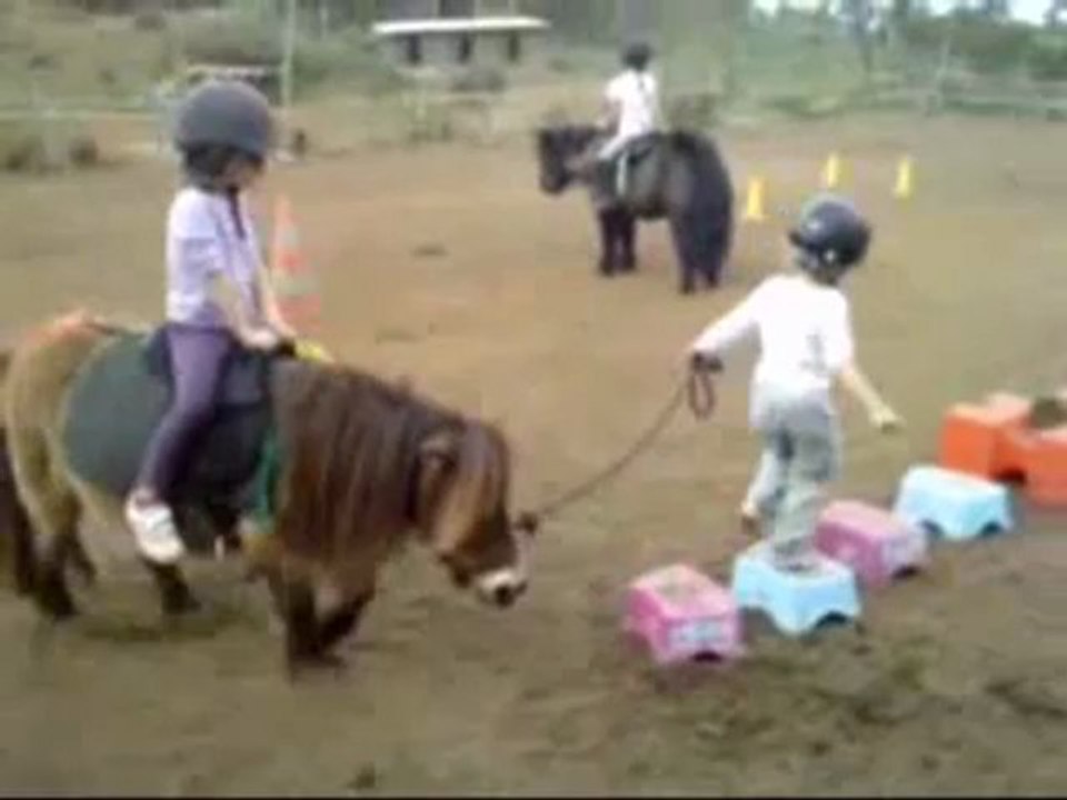exemple séance équit psychomotrice