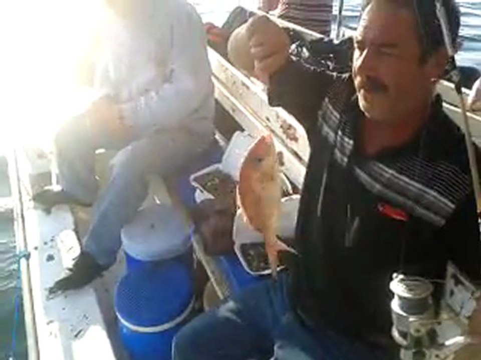 ismail kaptan kazıklı video-2012-09-16- tel.05334559097