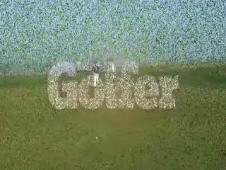 Knock your long putts dead