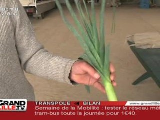 Eco Phyto : Stop aux pesticides !