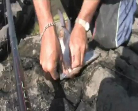 Sea Angler on Safari3