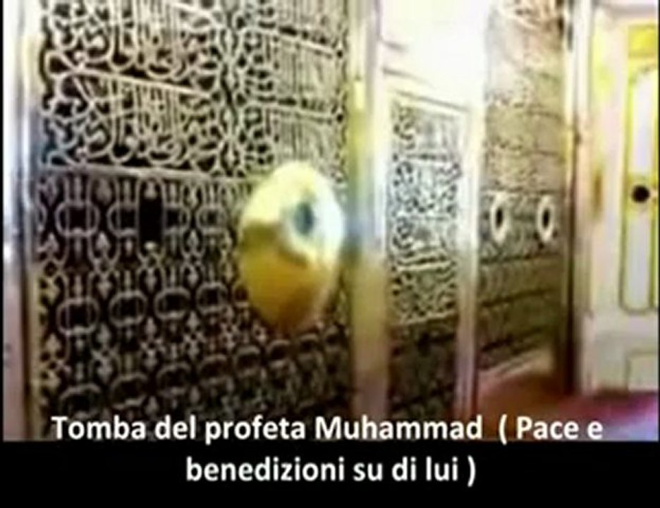 LA VERITA'  SULL'ISLAM...
