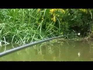 How to not spook carp in shallow water