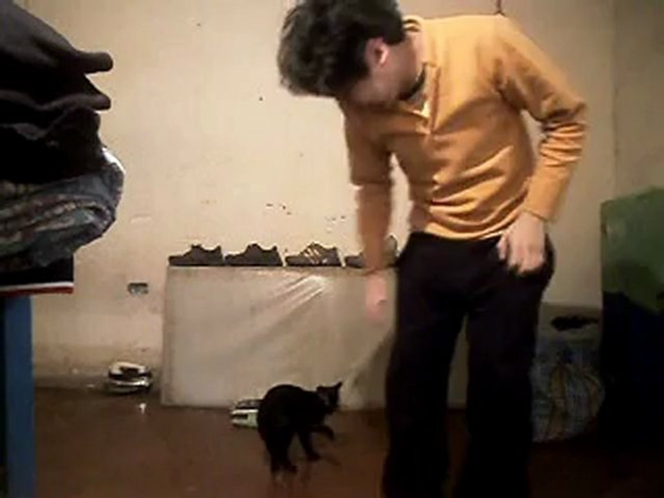 El Show de Potifar P.Luche - Diesisieteavo Capitulo (Segunda Temporada)