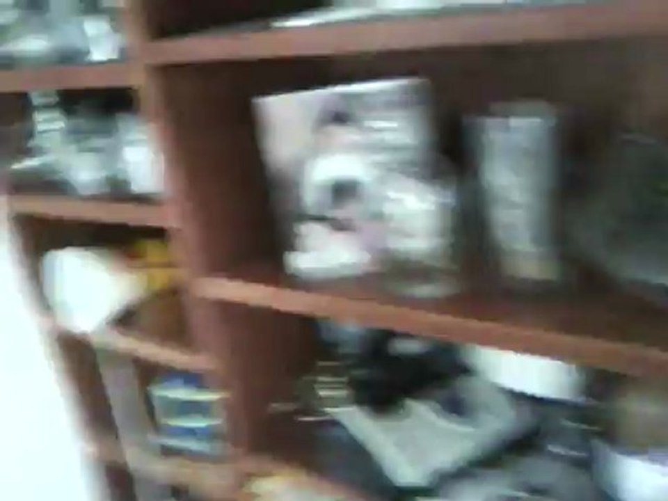 MONDAY, 9-17-2012 : MY LIFE NOW THANKS TO NYC, U.S. STATE DEPT, SINGAPORE, POSSIBLY ISRAEL - 1