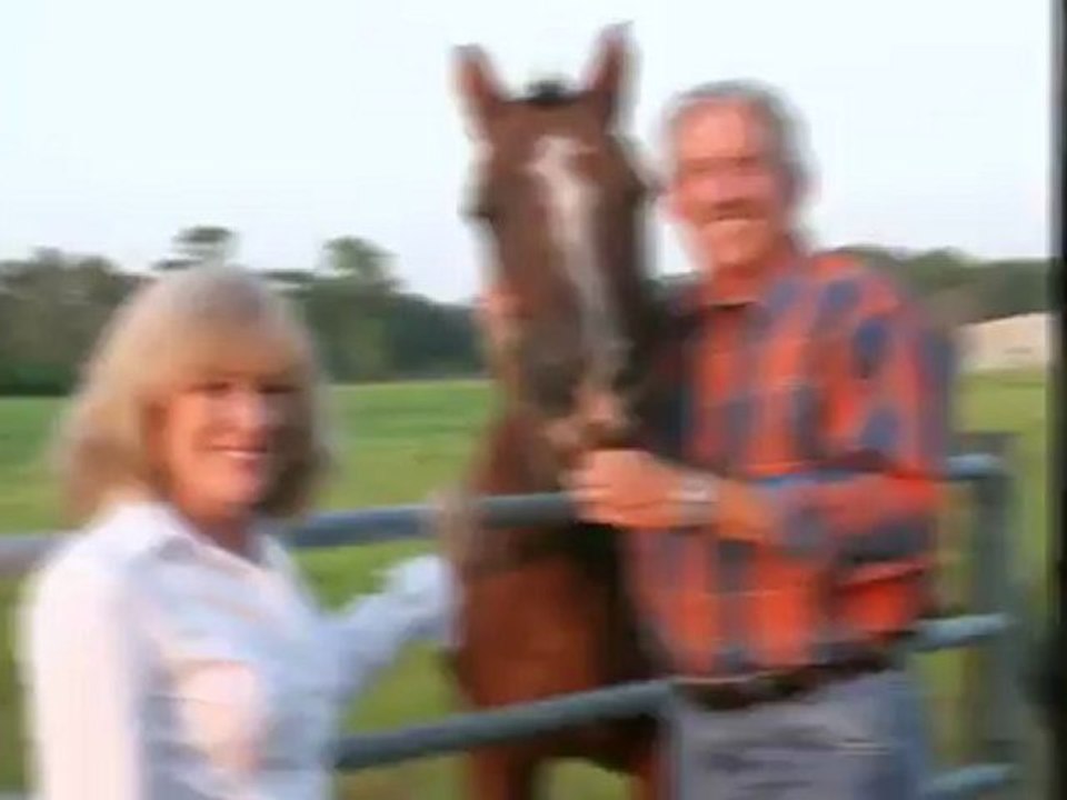 Pet Trust Services in San Diego CA - Armstrong, Fisch & Tutoli