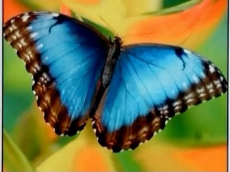 Speculation Swirls Around Apple Unveiling iPhone 5 and iPad Mini at Event