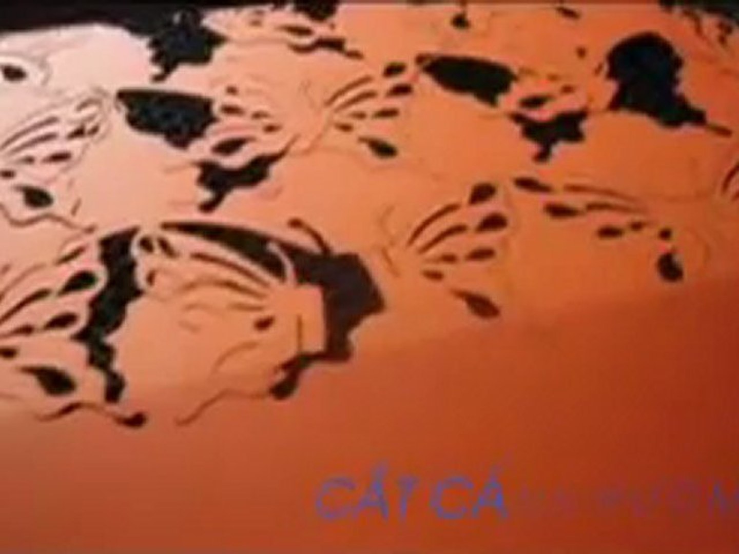cắt giấy - cắt thiệp