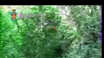 Reggio Calabria - Soperta piantagione marijuana (18.09.12)