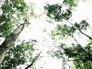 Miss Reef August 2012