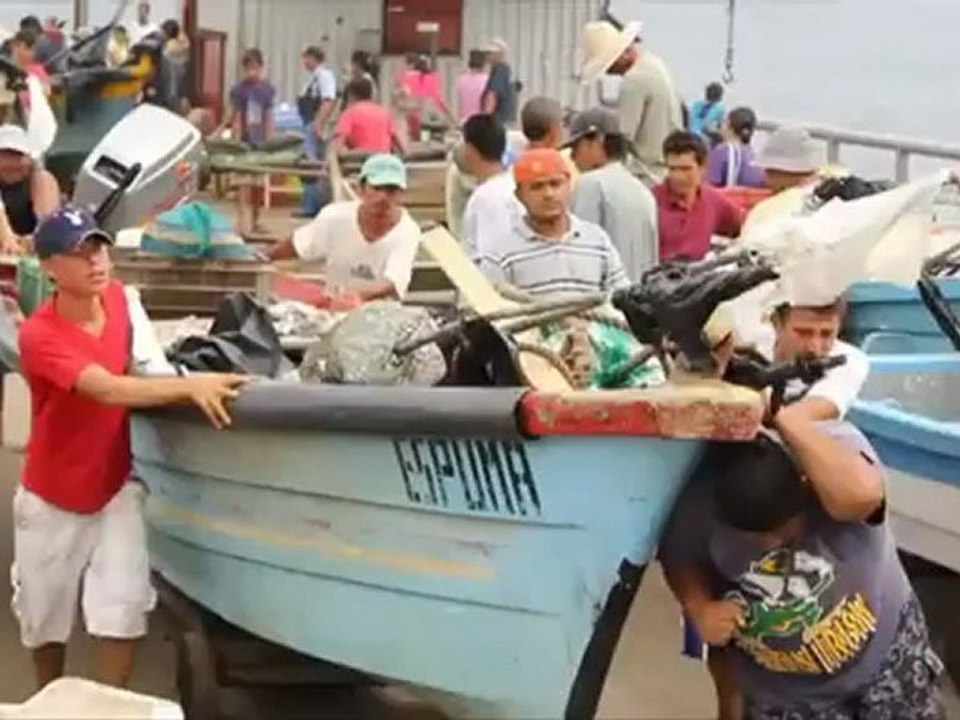 Primer Reporte Semanal