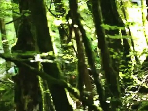 Hiking on the moon - The Raid Team Quechua