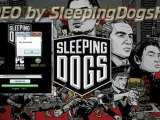 Sleeping Dogs Keygen free Download