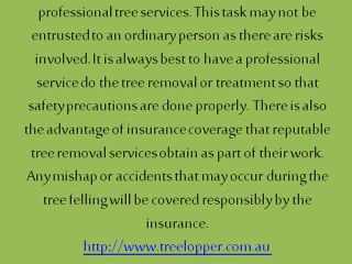 Importance of Removing Harmful Trees