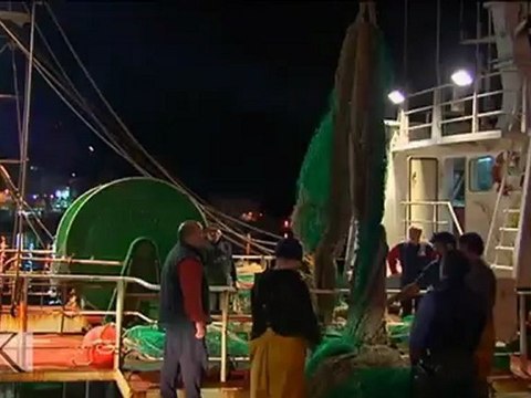 Kresala (es) (Donostiako Santa Klara irla)