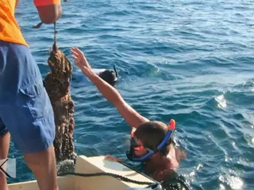 Kresala (es) (Izaro uhartea )