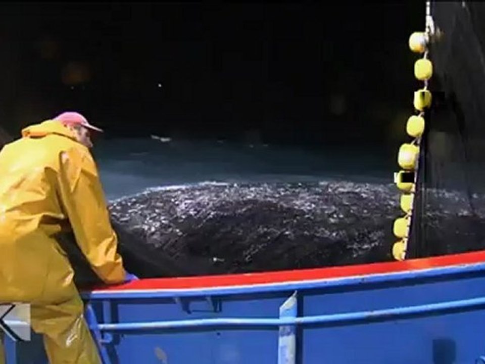 Kresala (es) (Orioko Balearen Eguna)