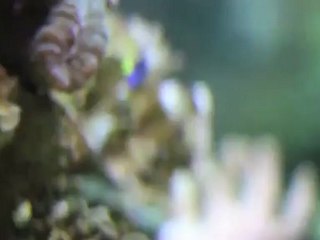 Garrett Parkes at home