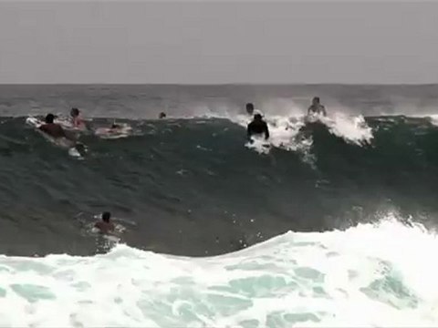 the Hawaiians