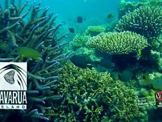 VB Slab of the Year 2011 Winner - Scott Wildin