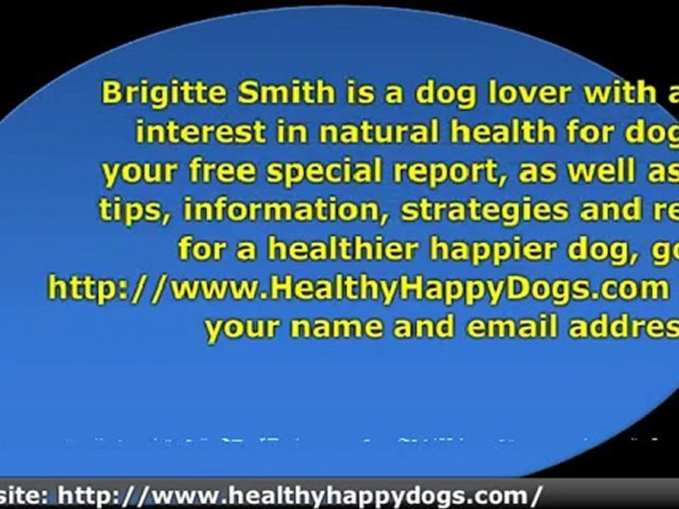 Improve Your Dog's Health With a Natural Diet