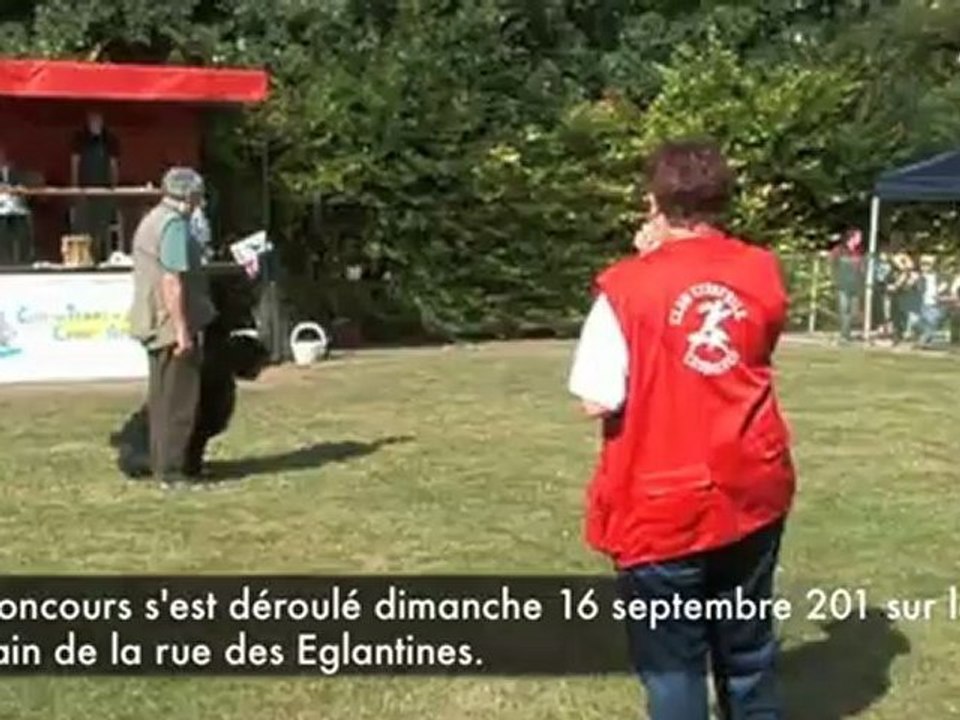 Arras : concours d'obéissance du Club d'éductaion canine et de travail de l'Arrageois