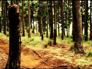 teaser Zot Movie Festival  2012 v1 (r)court