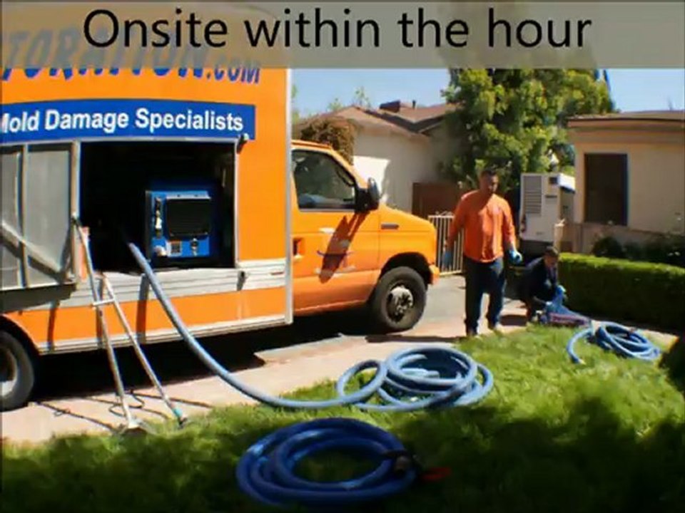 Water Damage Repair Passaic