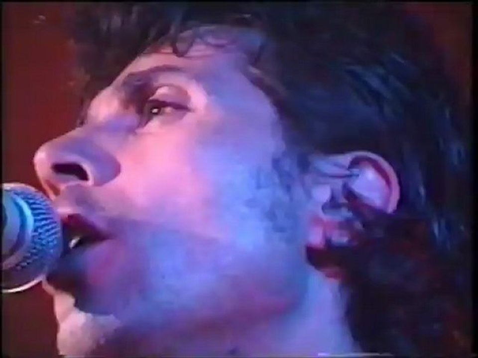 concert Jean Luc lahaye anné 1993