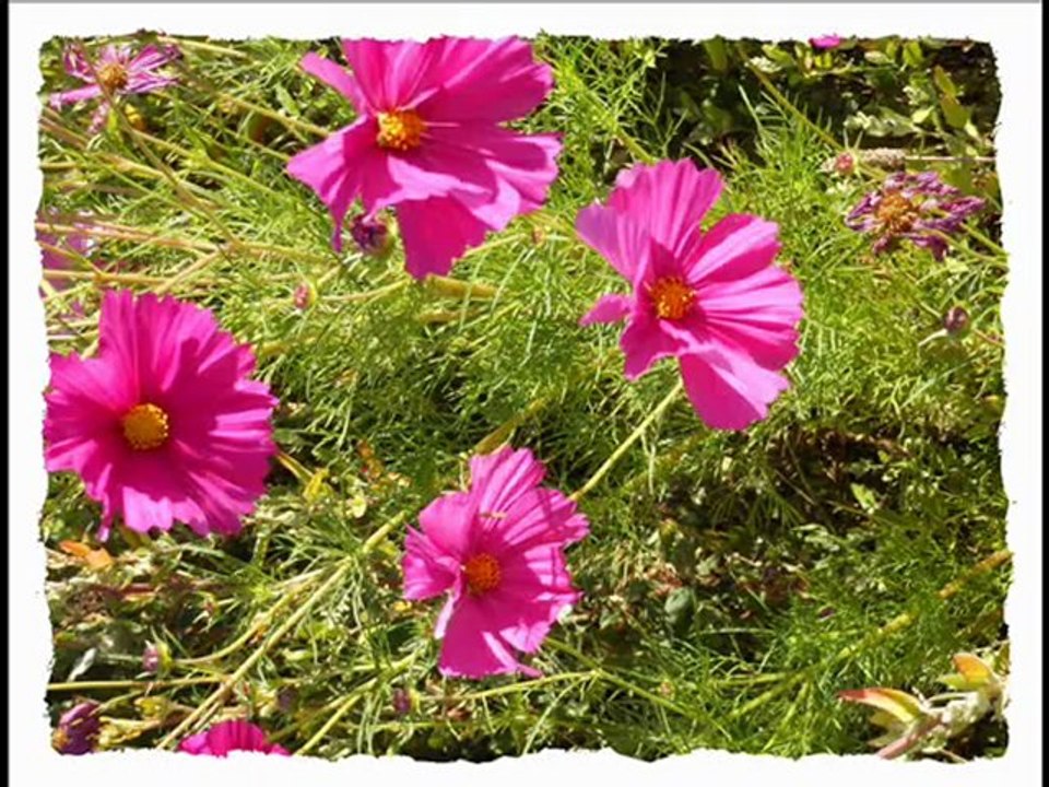 Randonnée  ST ESTEPHE Sept 2012