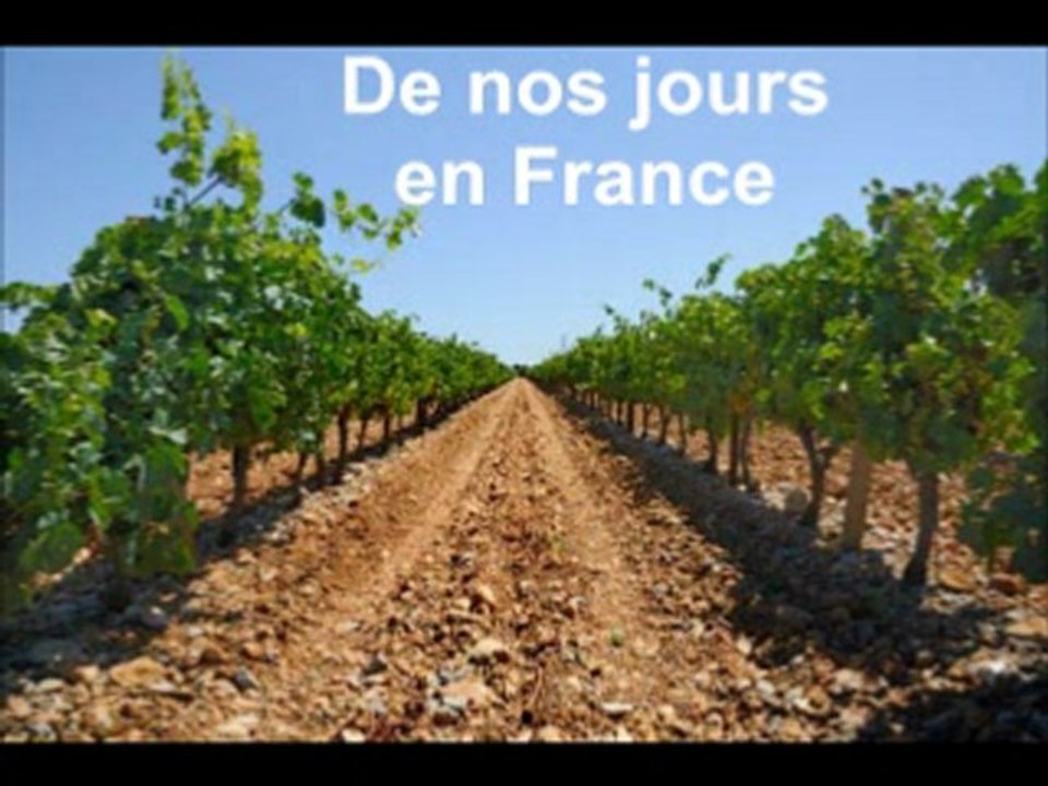 Diaporama hymne à la vie