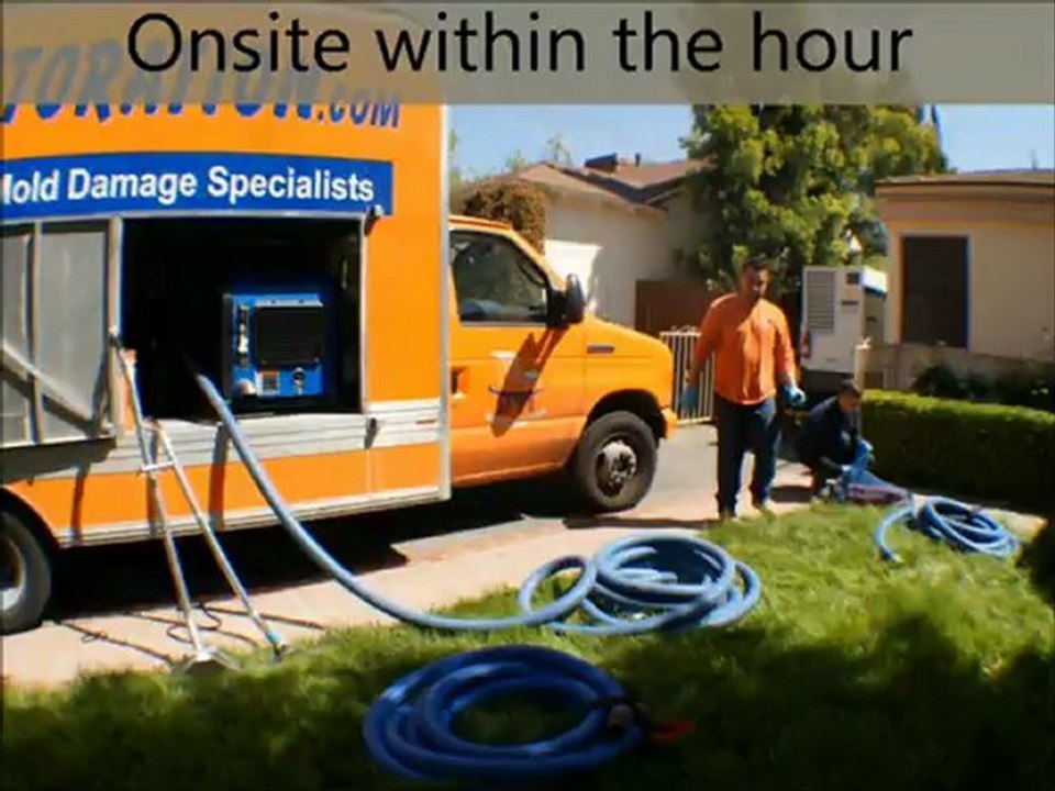 Water Damage Repair Hempstead