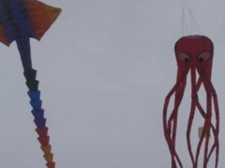 festival cerf volant