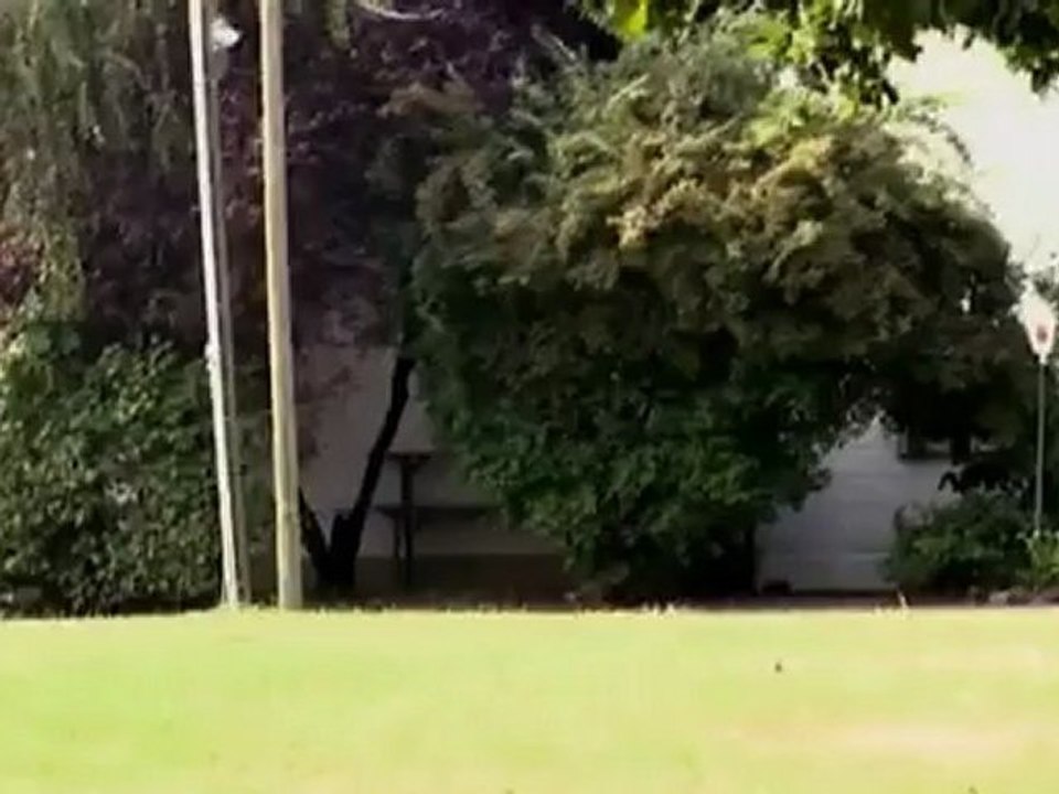 Test it! The Opel Antara | Drive it!