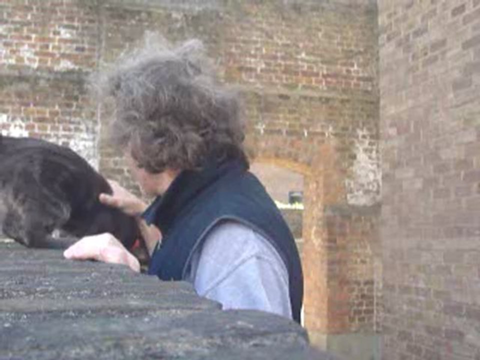 Tuffles 19th Sept 2012