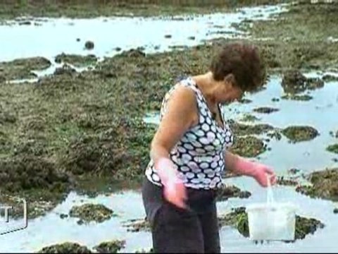 Les pécheurs fideles à la grande marée (Vendée)