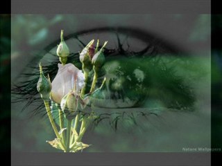 öyle üzgün üzgün bakma :((