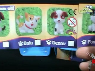 Collectible Spot - Pet Surprise