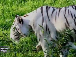 Bienvenue Chez Vous du 19 septembre 2012 Partie 1