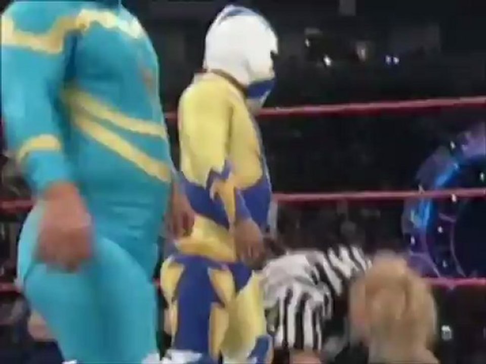 A Tribute to Sunny (WWE)