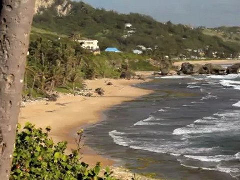 Butterfly Residential - Super Prime villas at One Sandy Lane, Barbados