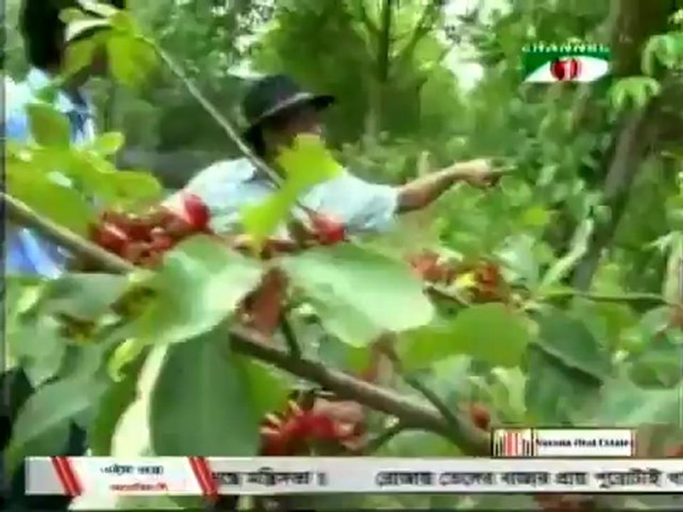 HUMAYUN AHMED LAST WISH - A WORLD CLASS CANCER HOSPITAL