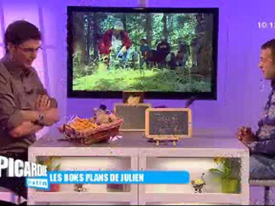Les champignons