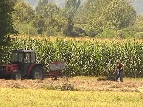 lavoro crescono le assunzioni dei giovani