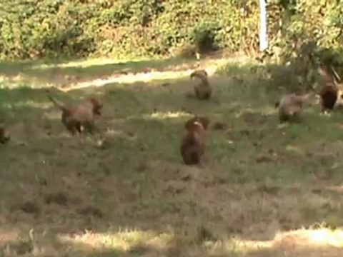 le rallye des falaises