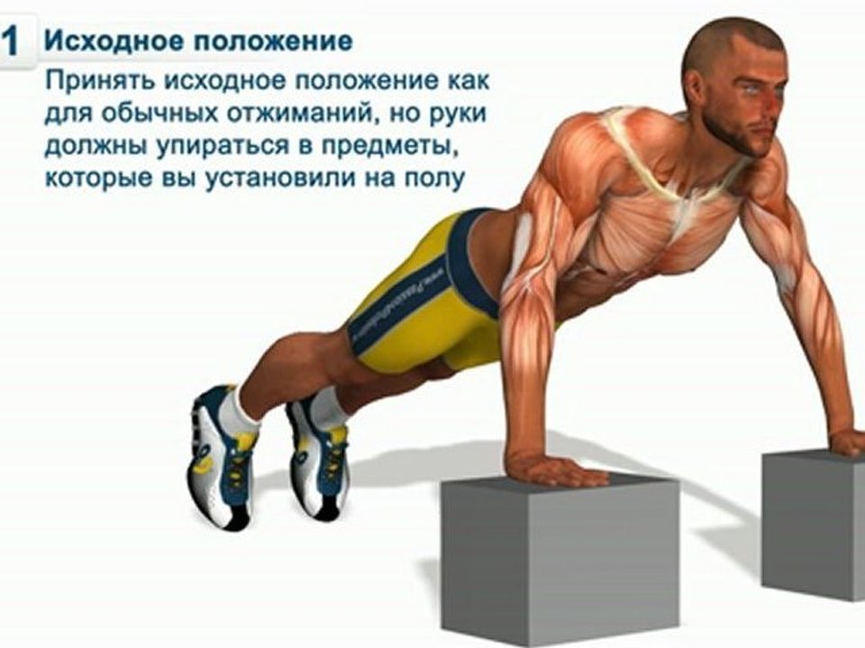 Отжимания «Атлант»