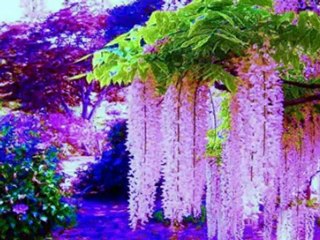 DAILY IN  CHRIST - 216